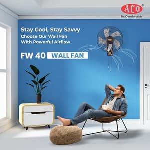Aco 400 mm Pride Wall Fan (Black), A-301-P