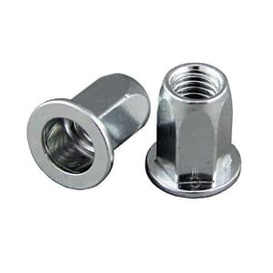 Pentagon 6 mm Insert Nut (Rivet Nut) with Full Hex Body Large Head (Pack of 600 Pcs)