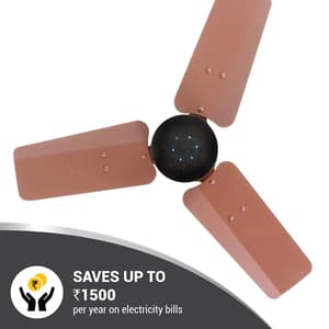 Atomberg Renesa 600 mm Energy Efficient Ceiling Fan With BLDC Motor & Remote (Brown & Black)